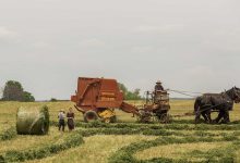 salman-khan-south-lady-superstar-entry