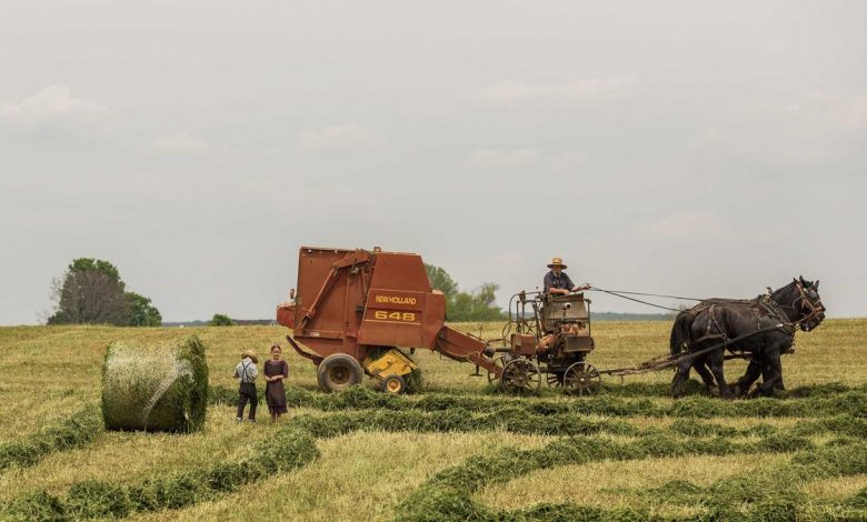 salman-khan-south-lady-superstar-entry