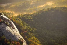 sanjay-samson-world-cup-emotional