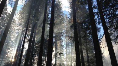 security-increased-after-fuel-depot-attack