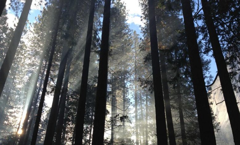 security-increased-after-fuel-depot-attack