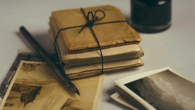 shah-rukh-khan-flop-movie-director-crying