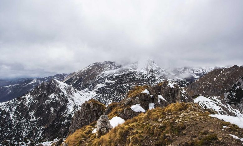 shah-rukh-khan-praises-anil-kapoor