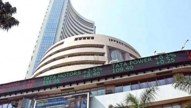 share-market-continues-to-rise