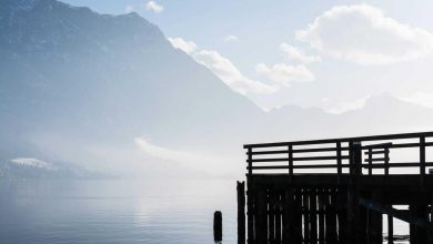 share-market-falls-penny-stocks-rise