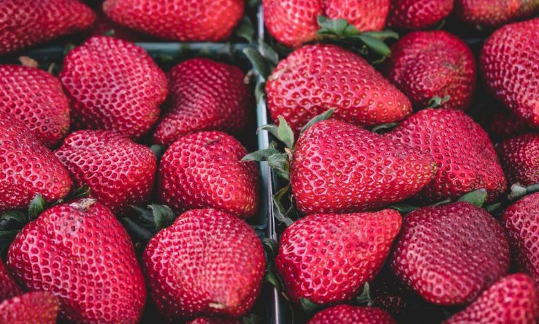 share-market-iran-america-war