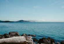 shares-to-split-bonus-and-dividend