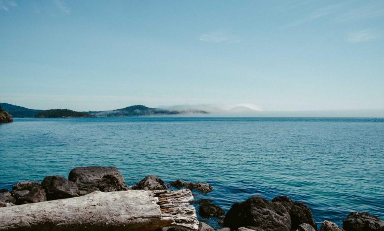 shares-to-split-bonus-and-dividend