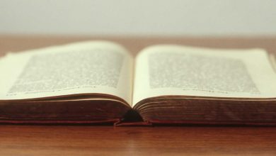 sharjeel-imam-interim-bail-delhi-riots