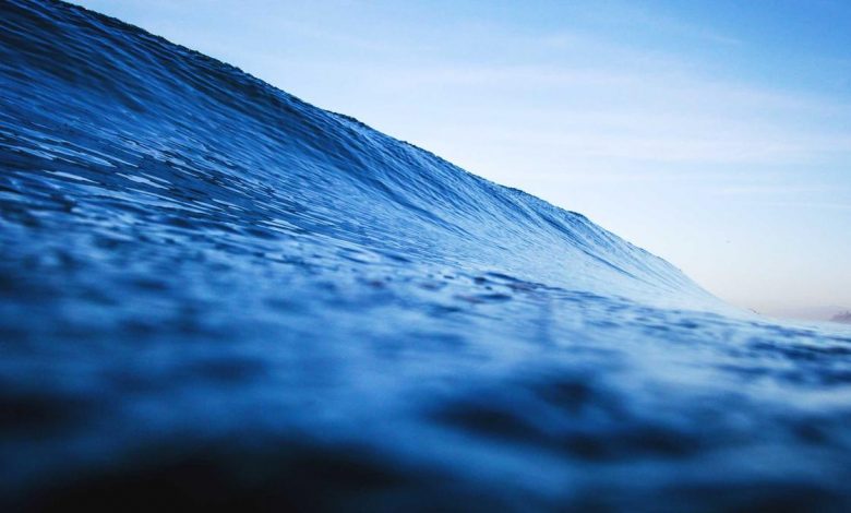 shikhar-dhawan-honeymoon-t20-match