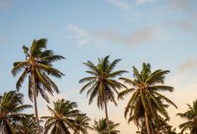 smallest-usb-c-flash-drive