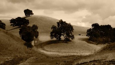 sony-lawsuit-uk-playstation-pricing