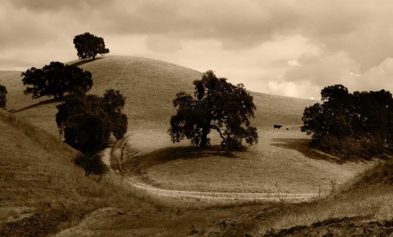 sony-lawsuit-uk-playstation-pricing