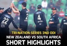 south-africa-defeats-new-zealand-t20
