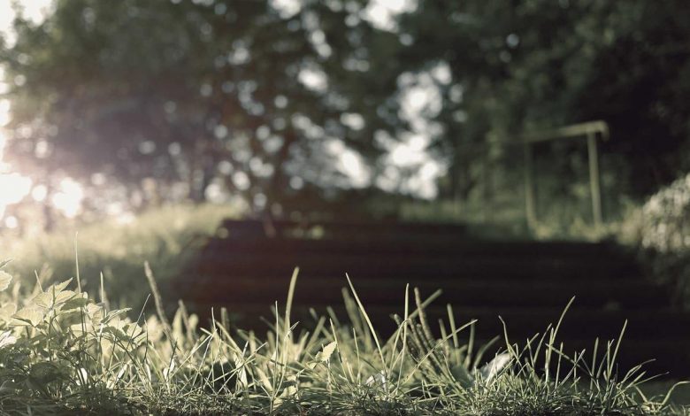 stock-alert-fii-dii-heavy-buying