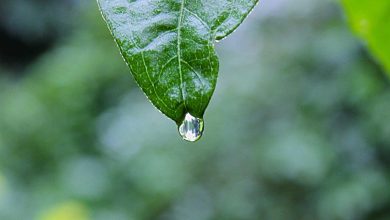 stock-market-crash-sensex-nifty-fall