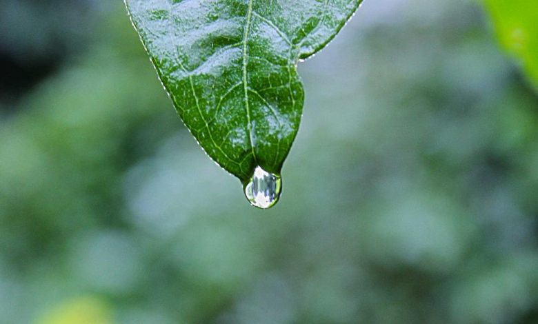 stock-market-crash-sensex-nifty-fall