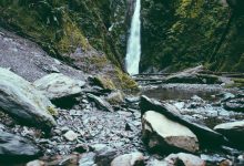 stock-market-highlights-live