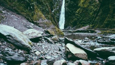 stock-market-highlights-live