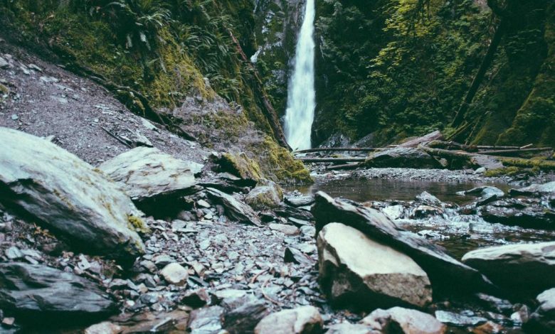 stock-market-highlights-live