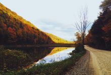 stock-surge-company-share-increase