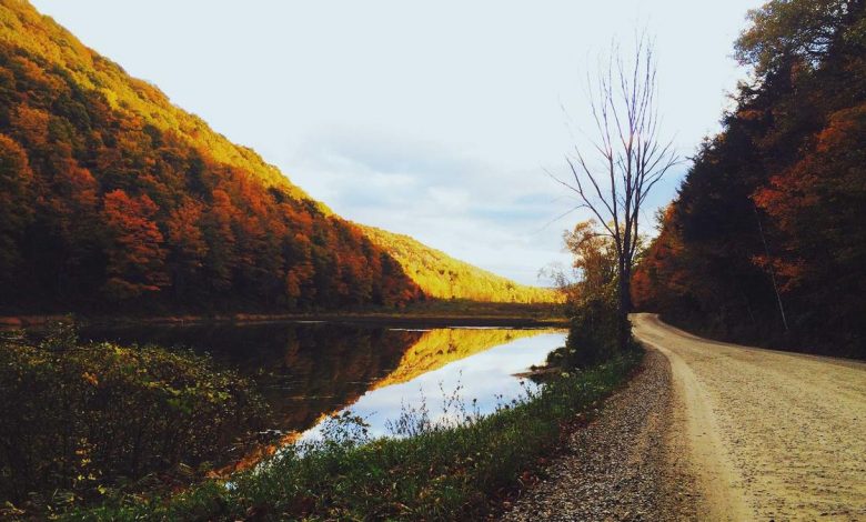 stock-surge-company-share-increase