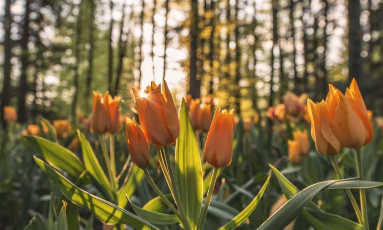 stocks-plunge-market-crash-tata
