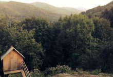 sunidhi-chauhan-cry-stage-lucknow