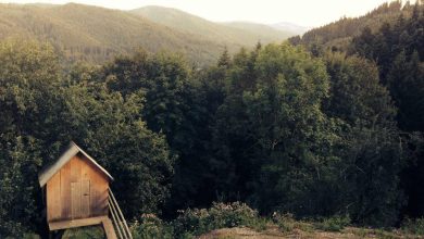 sunidhi-chauhan-cry-stage-lucknow