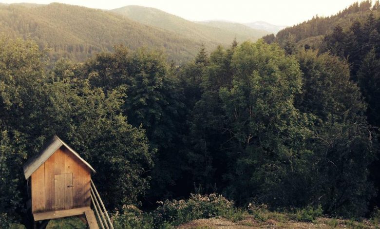 sunidhi-chauhan-cry-stage-lucknow