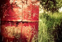 supreme-court-dismisses-pil-on-onion-garlic-research