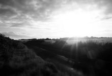 supreme-court-pil-on-onion-garlic-prices