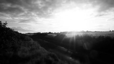 supreme-court-pil-on-onion-garlic-prices