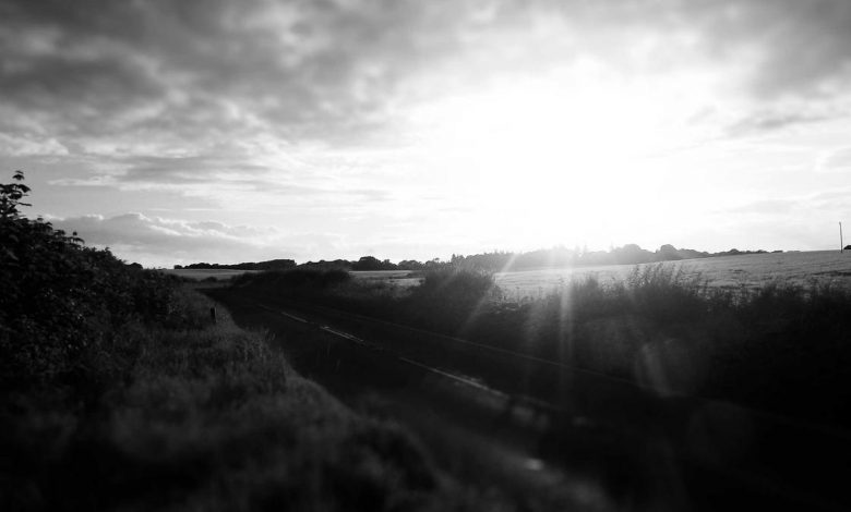 supreme-court-pil-on-onion-garlic-prices