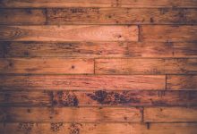 surat-friends-suicide-elon-musk-reaction