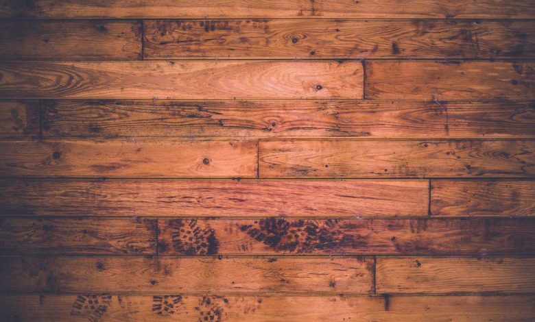 surat-friends-suicide-elon-musk-reaction