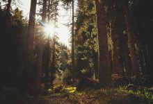 suryakumar-yadav-coach-comments-t20-world-cup