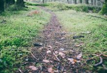 swara-bhaskar-uttam-nagar-murder