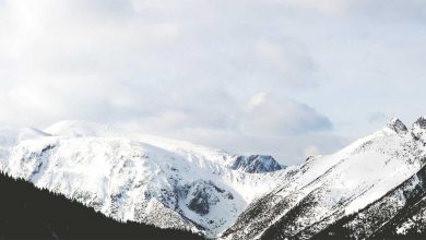 t20-wc-final-2026-india-storm