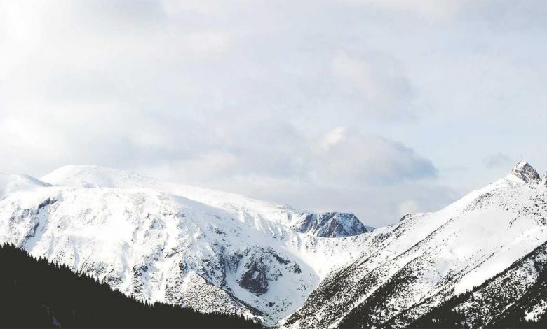 t20-wc-final-2026-india-storm