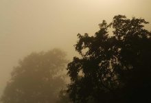 t20-world-cup-2026-award-winners