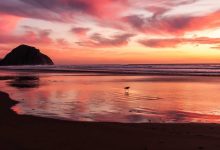 t20-world-cup-2026-final-decisions