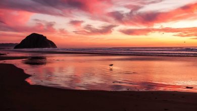 t20-world-cup-2026-final-decisions