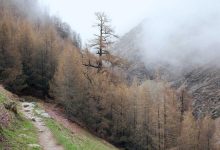 t20-world-cup-2026-suryas-mud-on-forehead