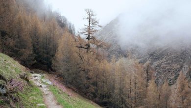 t20-world-cup-2026-suryas-mud-on-forehead