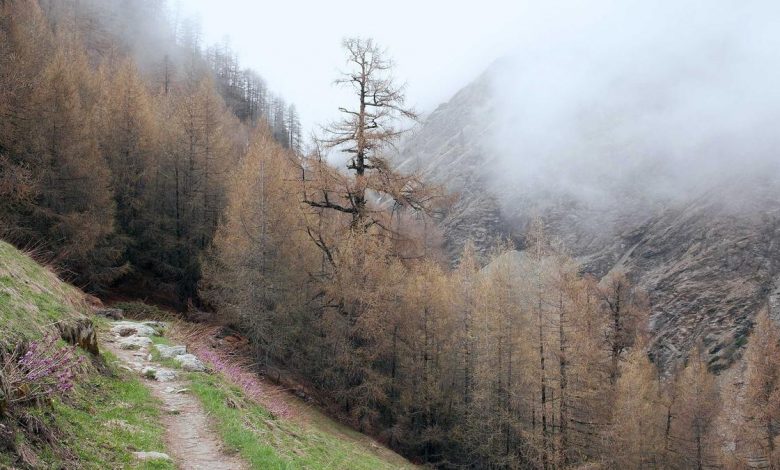 t20-world-cup-2026-suryas-mud-on-forehead