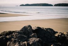 t20-world-cup-suryakumar-yadav