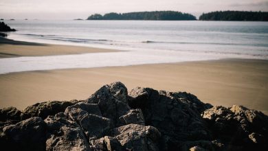 t20-world-cup-suryakumar-yadav