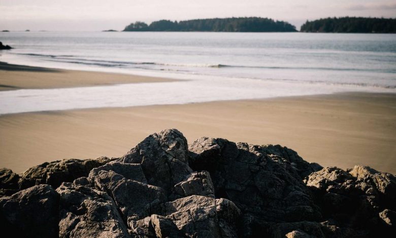 t20-world-cup-suryakumar-yadav