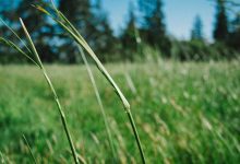 taapsee-pannu-womens-day-special